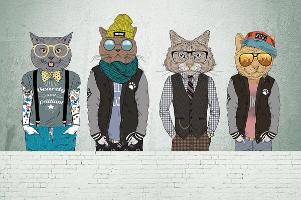 Fototapeta Skupina koček v oblečení, Fototapety se zvířaty, Populární fototapety, u28592v1 - Tapeko.co.cz