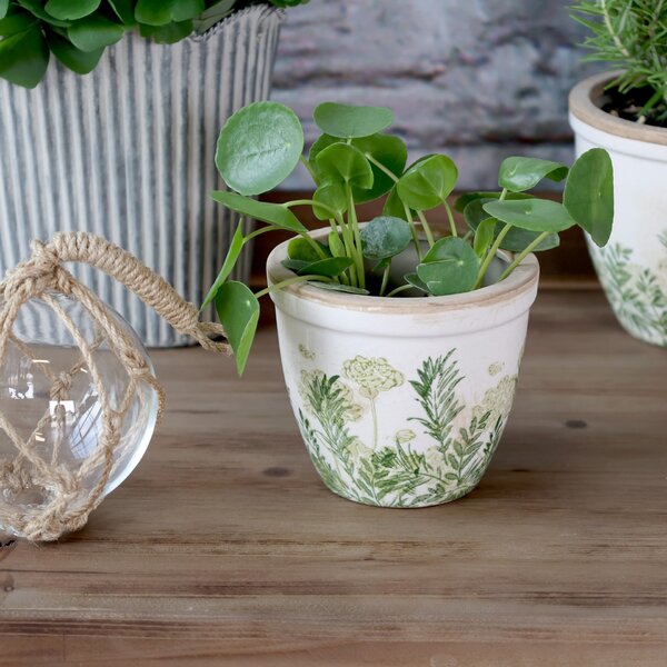 Obal na květiny Floral Verte Ø 12,5 cm
