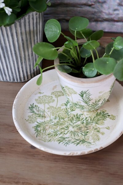 Obal na květiny Floral Verte Ø 12,5 cm