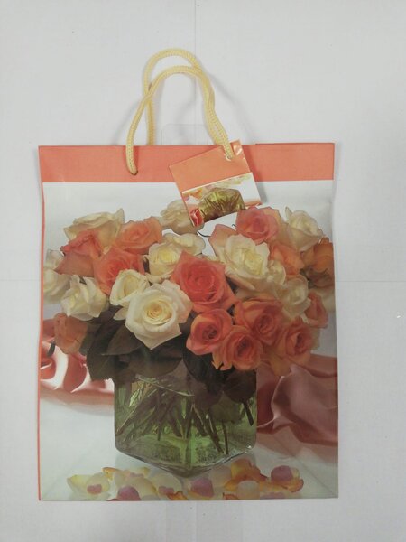Goleto Dárková taška s růžemi 23 x 17 x 9 cm | 5 kusů