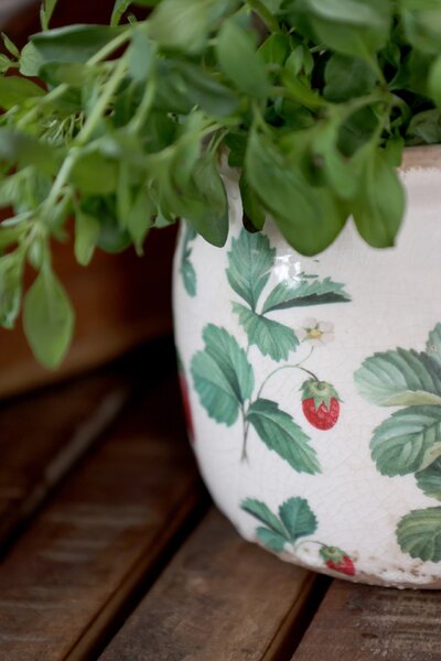 Keramický obal na květiny Fraises Ø 9,5 cm