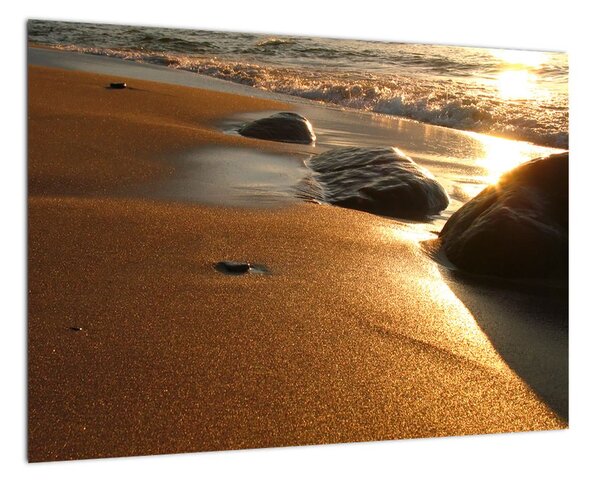 Obraz písečné pláže