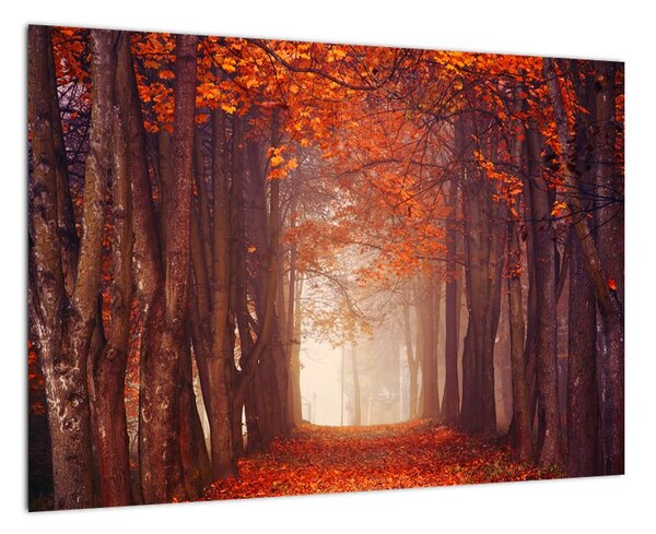 Podzimní les - obraz