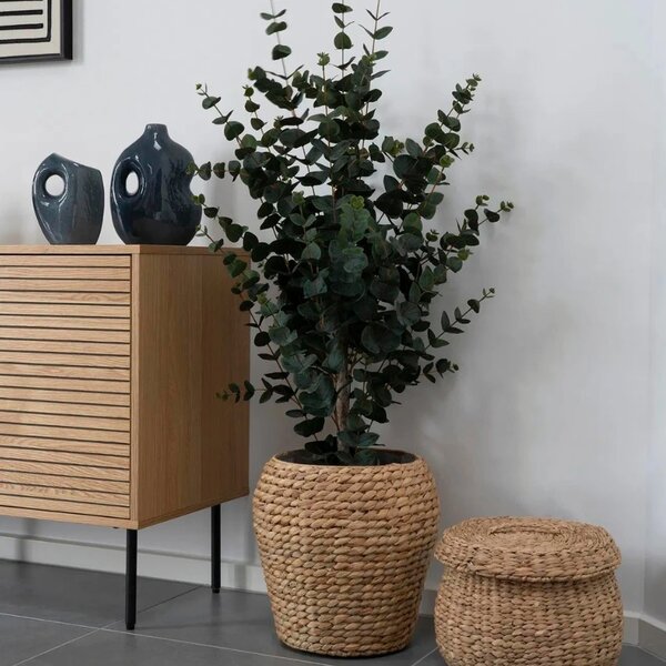 -25 % Dny MOMENTI– Nordic Living Umělá květina Eucalipto 120 cm