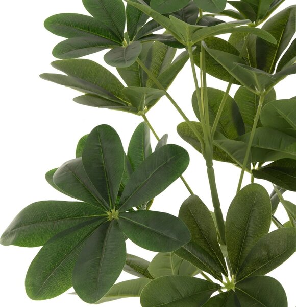 -25 % Dny MOMENTI– J-line Umělá květina Money Tree 157 cm