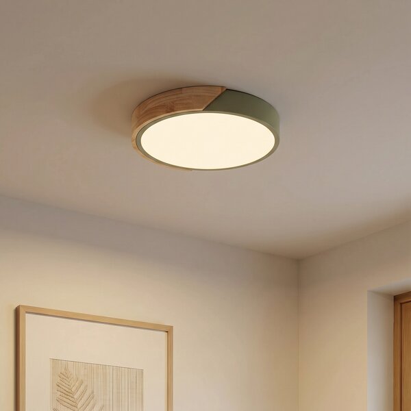 Stropní lampa PRIOS, Lynorri, Zelená, Obývací pokoj, Plast, Moderní