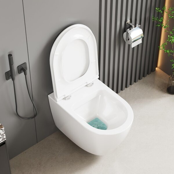 Závěsné WC bez splachovacího okraje, včetně bílé, D-tvarované toaletní míse s pomalým zavíráním, délka 51 cm