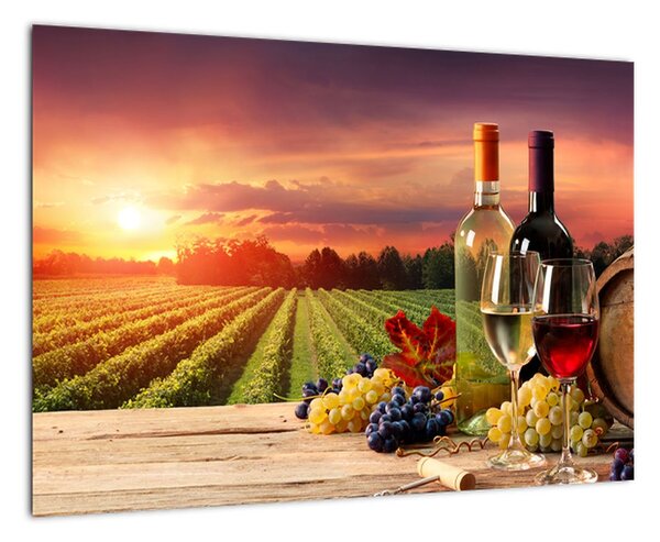Obraz - víno a vinice při západu slunce