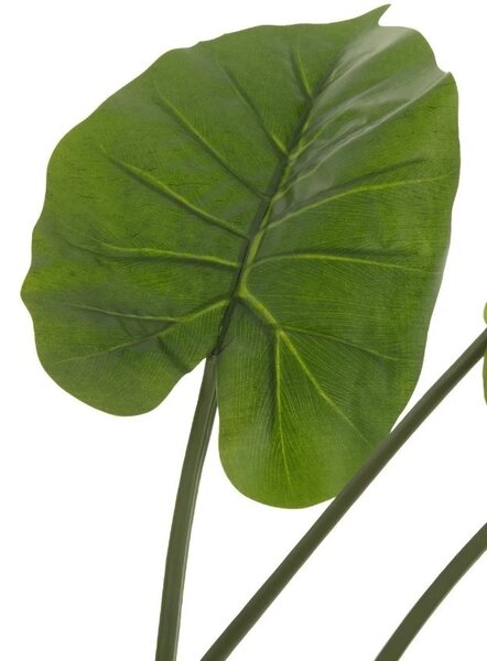 Umělá květina J-Line Maryath Taro 123 cm