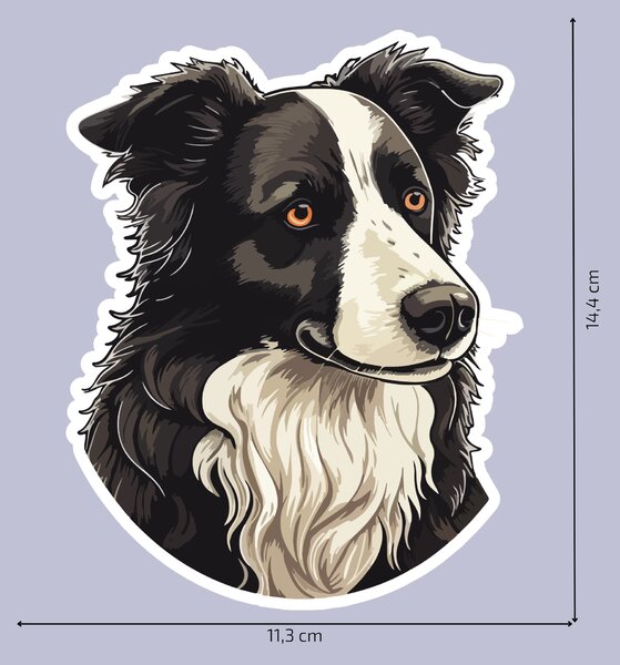 PIPPER. Nálepka Border kolie Velikost: 60cm