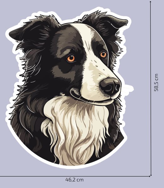 PIPPER. Nálepka Border kolie Velikost: 60cm