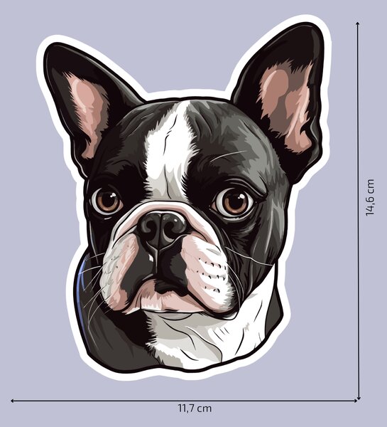 PIPPER. Nálepka Bostonský teriér Velikost: 60cm