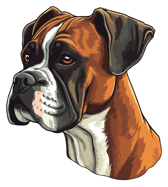 PIPPER. Nálepka Boxer Velikost: 60cm
