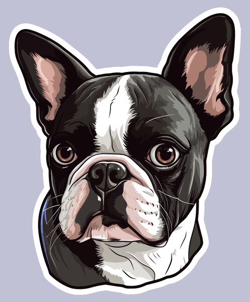 PIPPER. Nálepka Bostonský teriér Velikost: 60cm