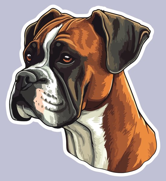 PIPPER. Nálepka Boxer Velikost: 60cm