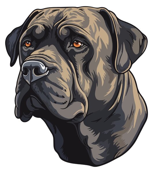 PIPPER. Nálepka Cane Corso Velikost: 60cm