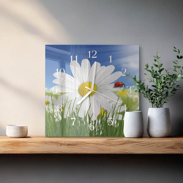 Skleněné hodiny Květina a beruška zskb-30x30-00081618