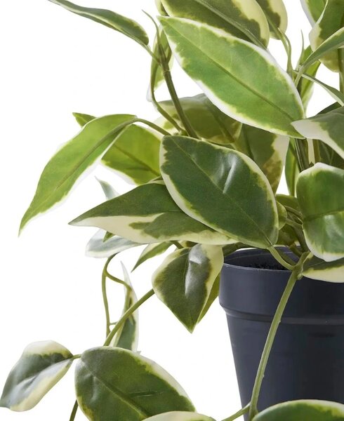 LÉTO -15% Nordic Living Umělá květina Hoya 33 cm