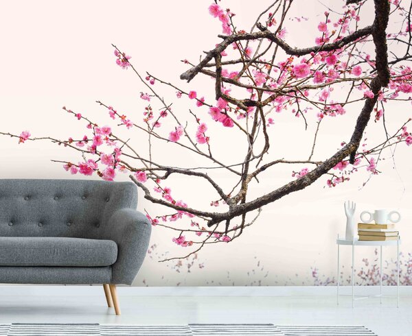 Malvis ® Tapeta Sakura ozdobná Vel. (šířka x výška): 144 x 105 cm
