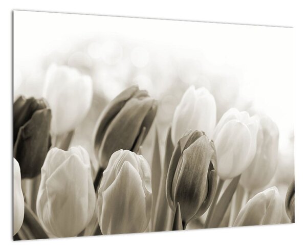 Obraz tulipánů