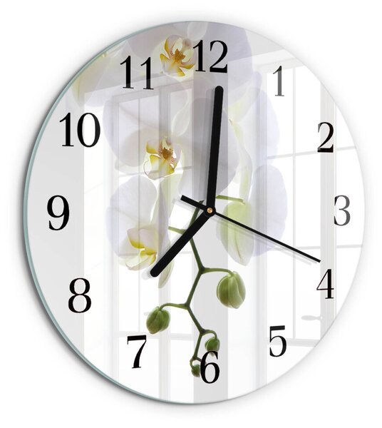 Skleněné nástěnné hodiny Orchidej zsoc-fi30-00174440