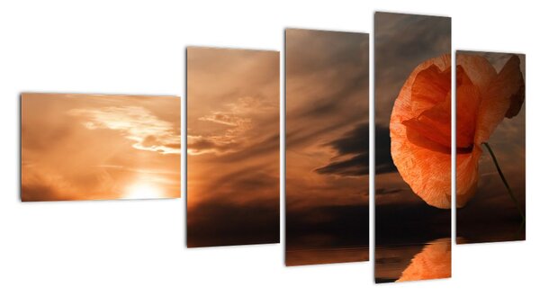 Magický obraz (110x60cm)