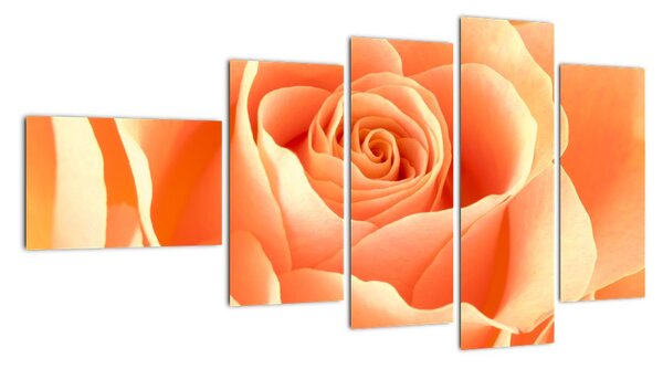 Obraz oranžové růže (110x60cm)