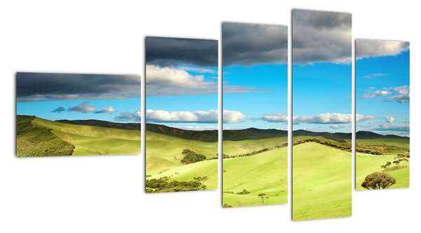 Obraz - louka (110x60cm)