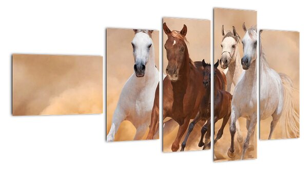 Obrazy běžících koní (110x60cm)