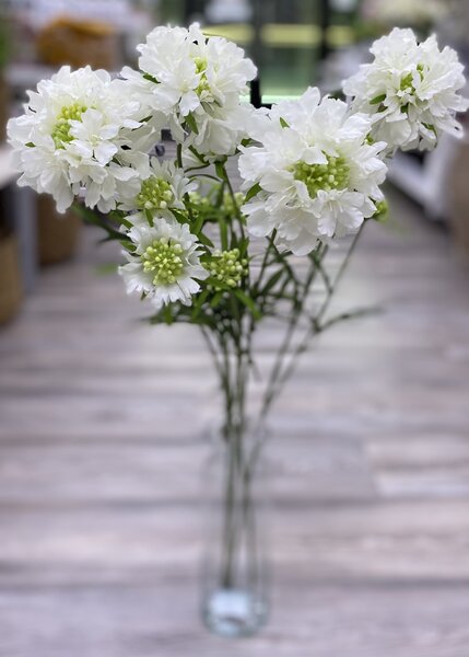 Umělá květina Gasper hlaváč, výška 75 cm, bílá
