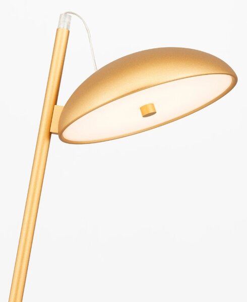 Zlatá kovová stolní LED lampa Nova Luce Flute