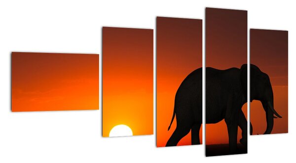 Obraz slona v zapadajícím slunci (110x60cm)