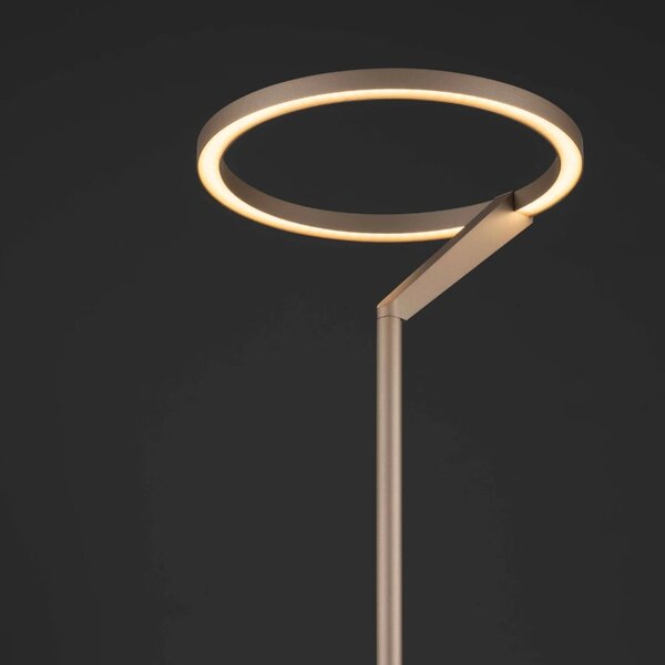 Hnědá kovová stolní LED lampa Nova Luce Tilia