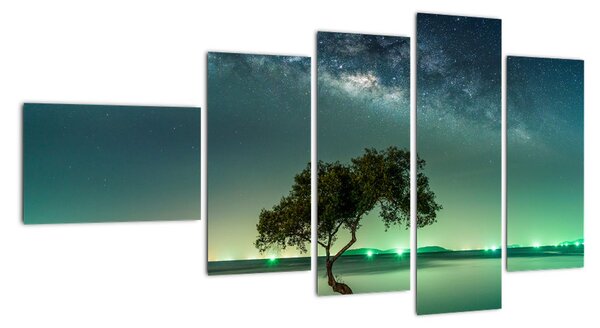 Obraz - magická noc (110x60cm)