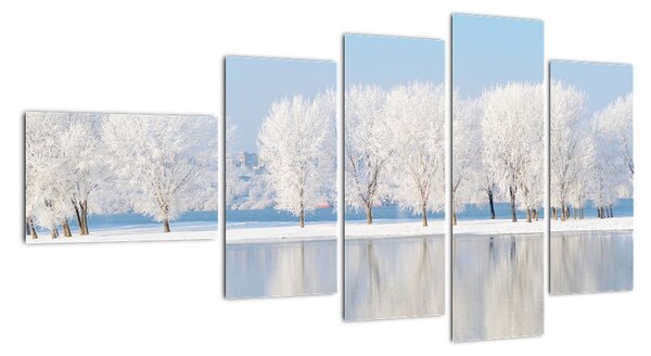 Obraz - zimní příroda (110x60cm)