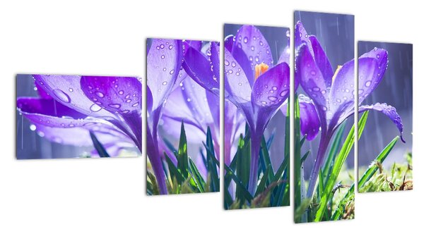 Obraz květů při dešti (110x60cm)