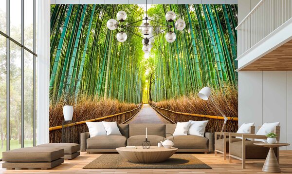 Malvis ® Tapeta bambusová stezka Vel. (šířka x výška): 144 x 105 cm