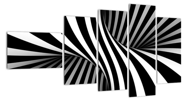 Černobílý abstraktní obraz (110x60cm)