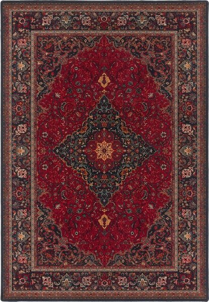 Kusový koberec vlněný Dywilan Superior Super Piena Rubin červený Rozměr: 170x235 cm