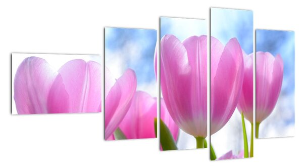 Obraz růžových tulipánů (110x60cm)