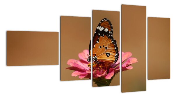 Obraz motýla (110x60cm)