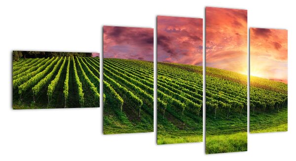Obraz krajiny na zeď (110x60cm)