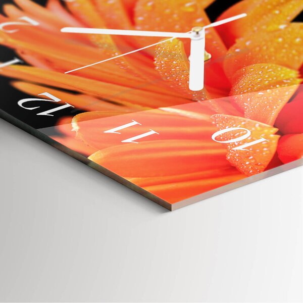 Skleněné hodiny Gerbera zskb-30x30-00084652