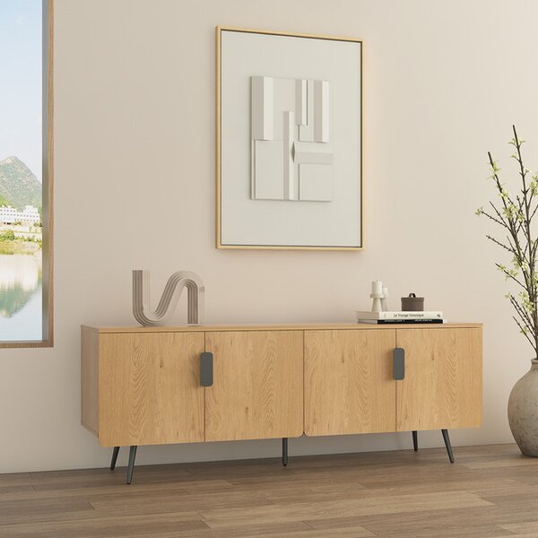 TV skříňka Radis (TU01) 160 cm, divoký dub
