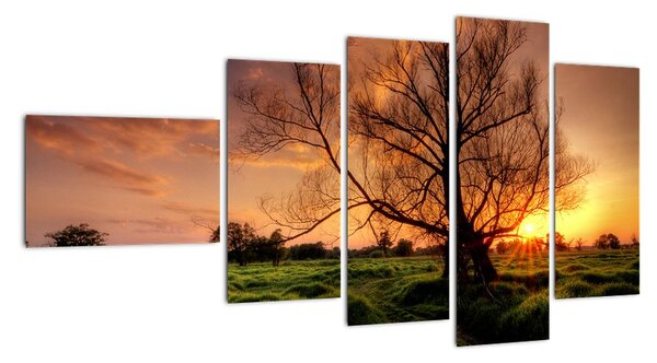 Západ slunce, obrazy (110x60cm)