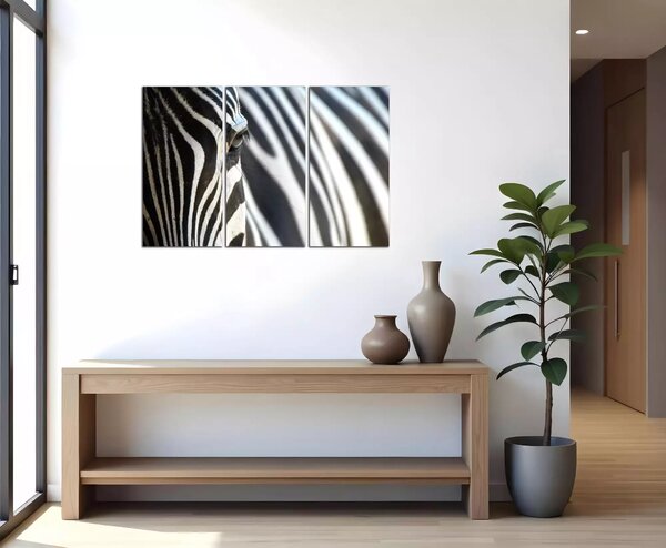 Obraz na plátně Zebra