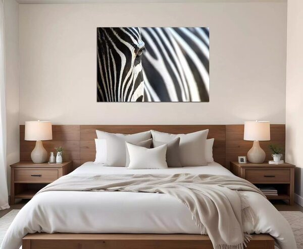 Obraz na plátně Zebra
