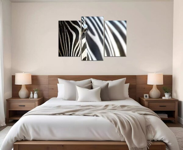 Obraz na plátně Zebra