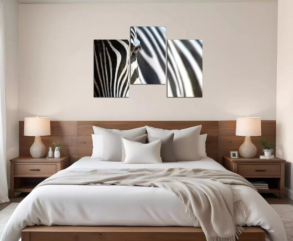 Obraz na plátně Zebra