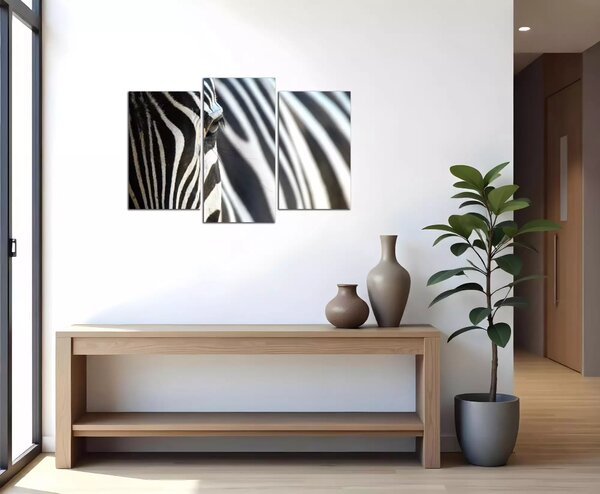 Obraz na plátně Zebra